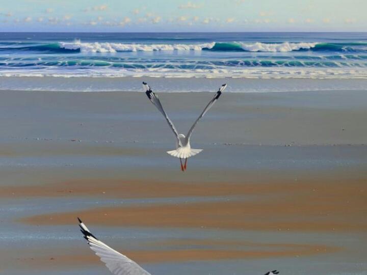 Appartamento 21 On Bakoond Yzerfontein Esterno foto